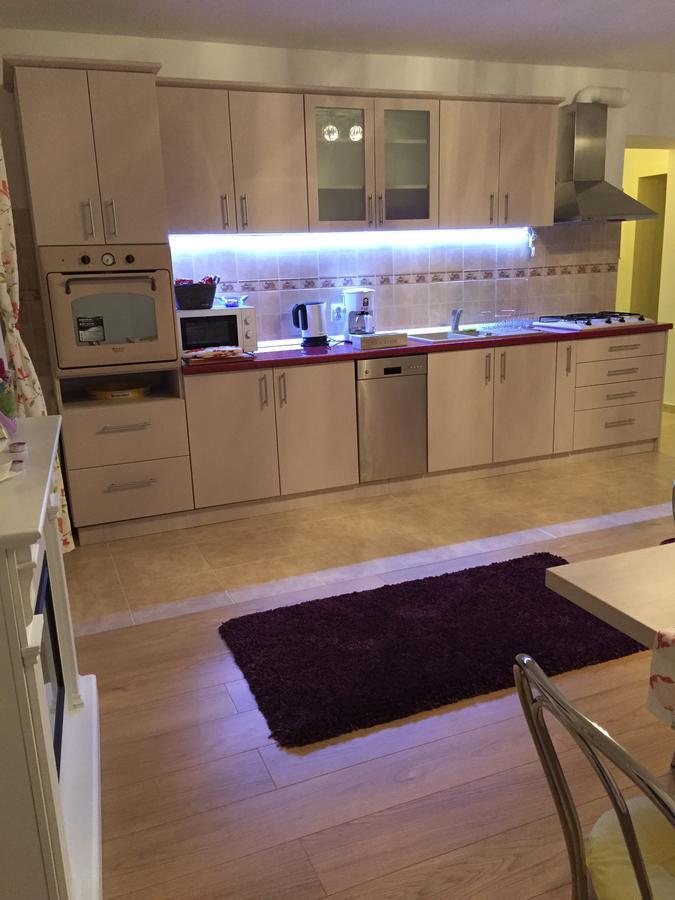 Xenopol Grand Studio Διαμέρισμα Σίμπιου Εξωτερικό φωτογραφία